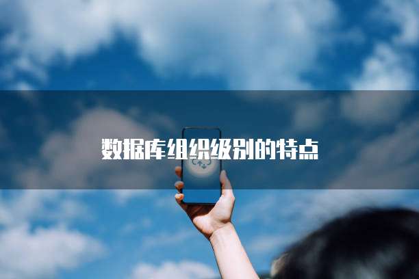数据库组织级别的特点