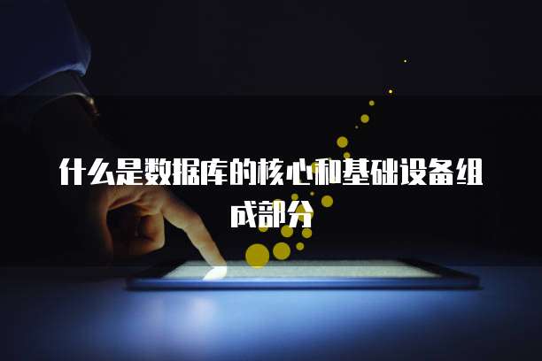 什么是数据库的核心和基础设备组成部分