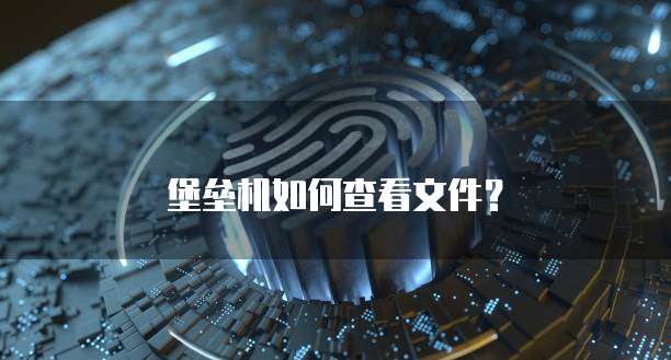 堡垒机如何查看文件？