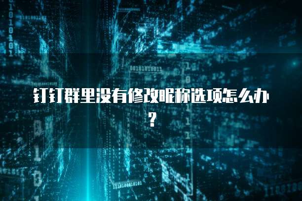 钉钉群里没有修改昵称选项怎么办？
