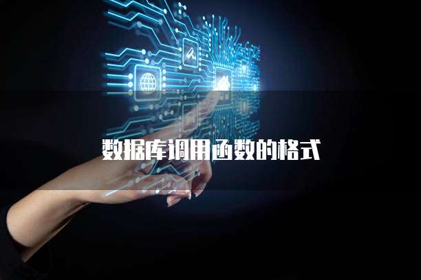数据库调用函数的格式