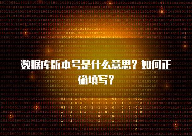 数据库版本号是什么意思？如何正确填写？