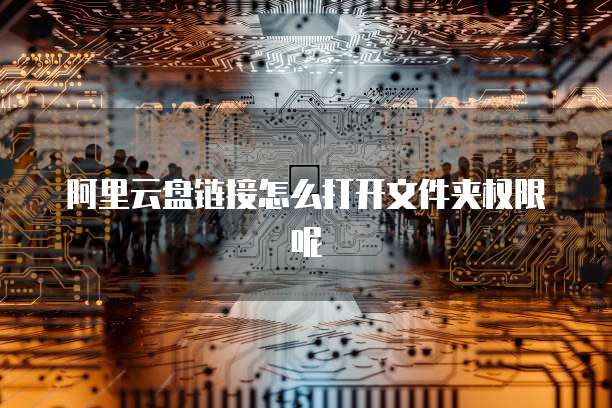 阿里云盘链接怎么打开文件夹权限呢