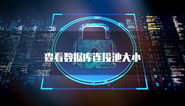查看数据库连接池大小