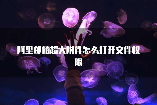阿里邮箱超大附件怎么打开文件权限