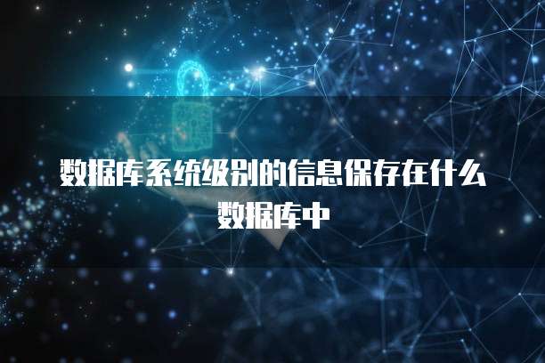 数据库系统级别的信息保存在什么数据库中