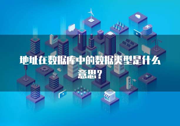 地址在数据库中的数据类型是什么意思？