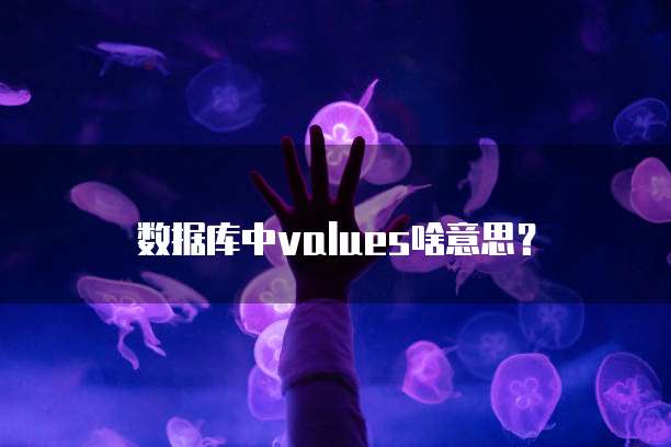 数据库中values啥意思？