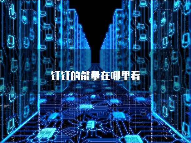 钉钉的能量在哪里看