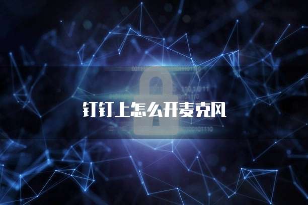 钉钉上怎么开麦克风
