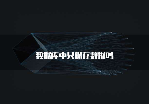 数据库中只保存数据吗