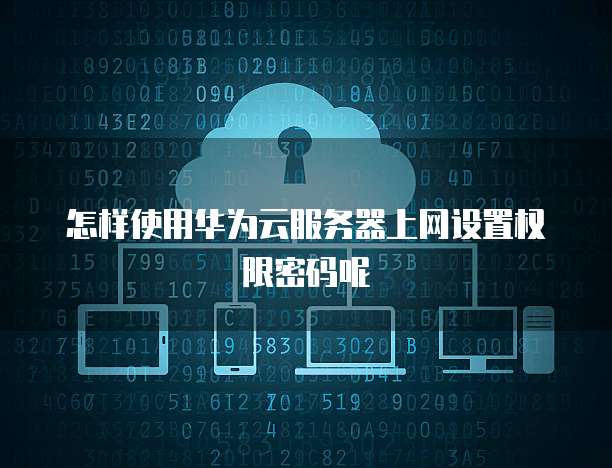 怎样使用华为云服务器上网设置权限密码呢