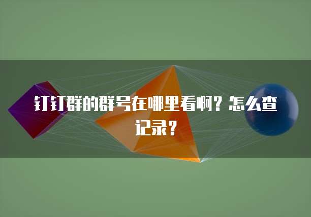 钉钉群的群号在哪里看啊？怎么查记录？