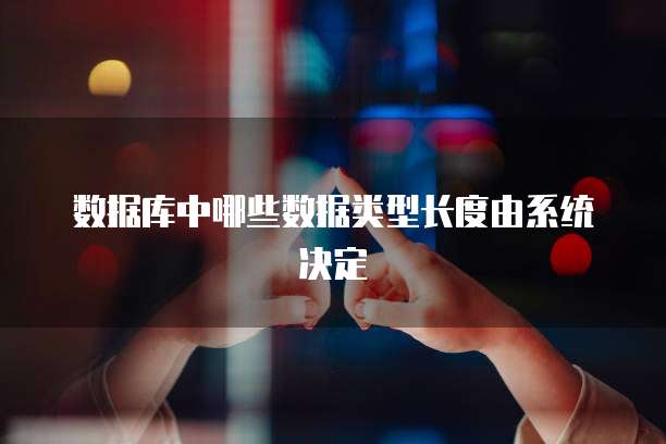 数据库中哪些数据类型长度由系统决定