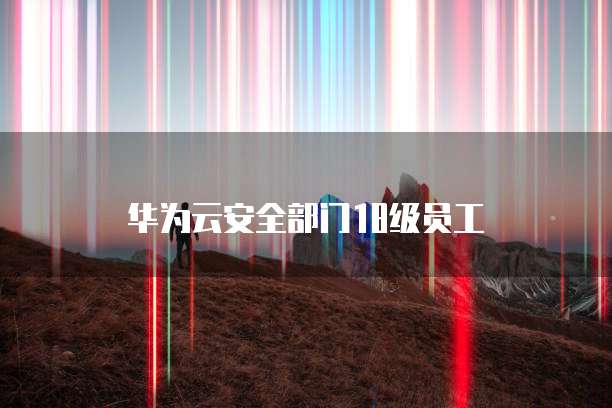 华为云安全部门18级员工