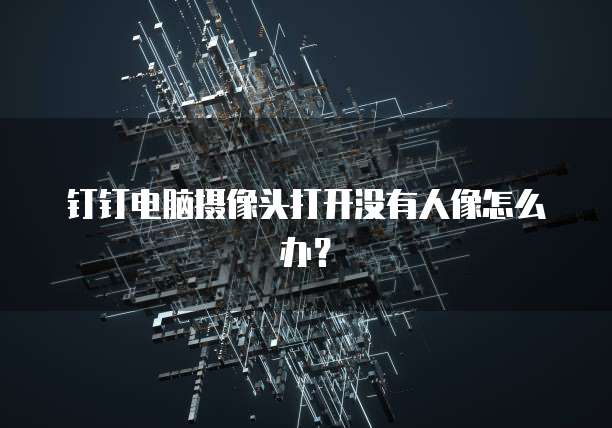 钉钉电脑摄像头打开没有人像怎么办？