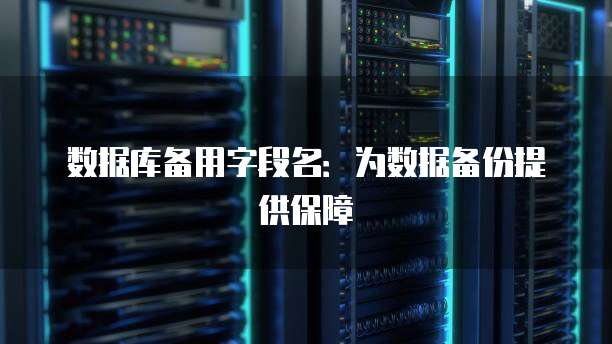 数据库备用字段名：为数据备份提供保障