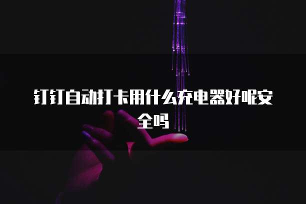 钉钉自动打卡用什么充电器好呢安全吗