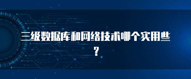 三级数据库和网络技术哪个实用些？