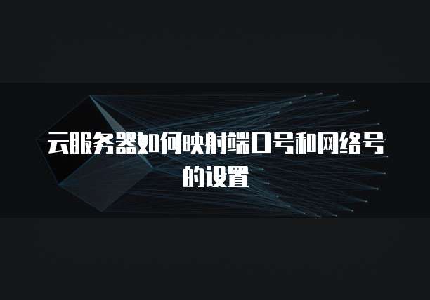 云服务器如何映射端口号和网络号的设置