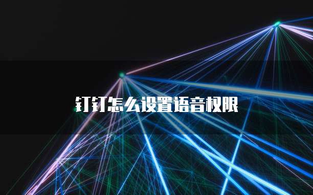 钉钉怎么设置语音权限