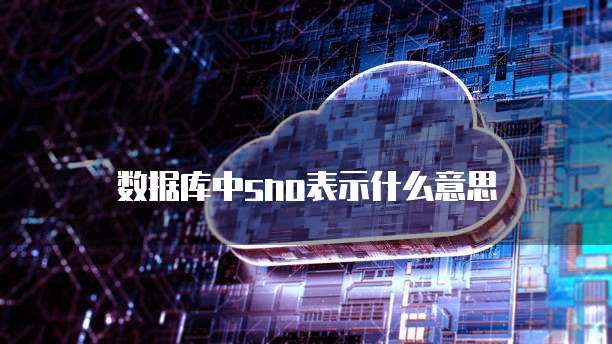 数据库中sno表示什么意思
