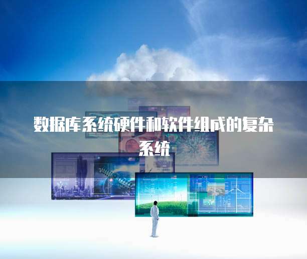数据库系统硬件和软件组成的复杂系统