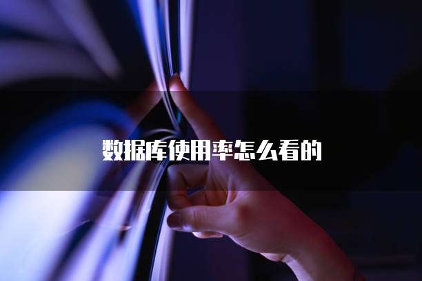 数据库使用率怎么看的