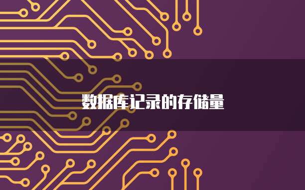 数据库记录的存储量