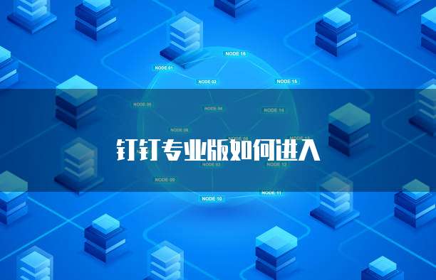 钉钉专业版如何进入