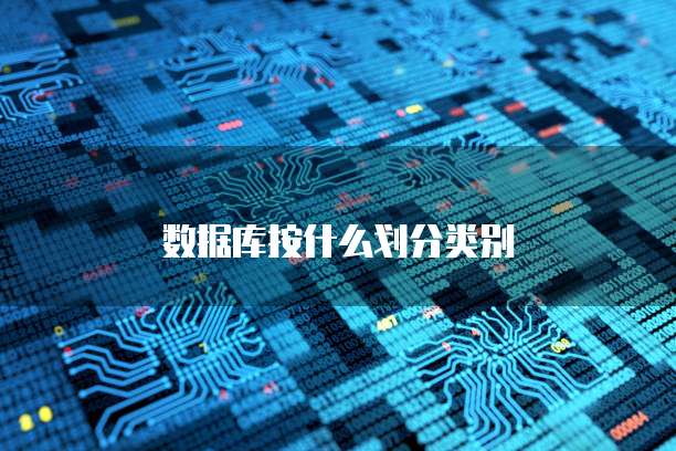 数据库按什么划分类别