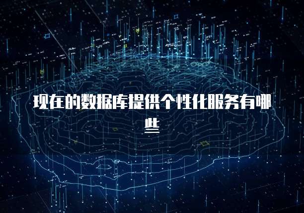 现在的数据库提供个性化服务有哪些