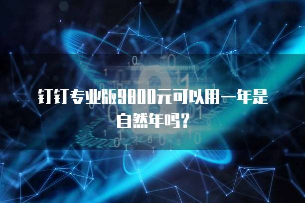 钉钉专业版9800元可以用一年是自然年吗？