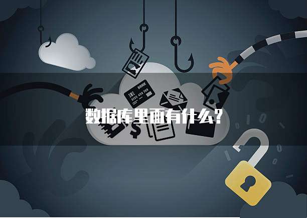 数据库里面有什么？