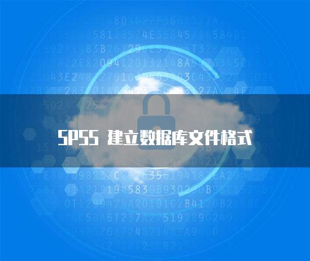 SPSS 建立数据库文件格式