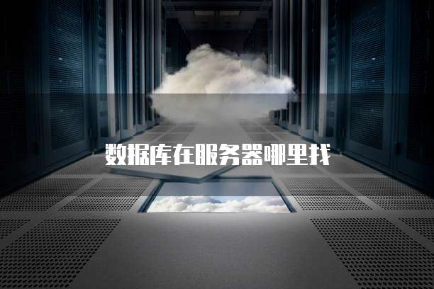 数据库在服务器哪里找