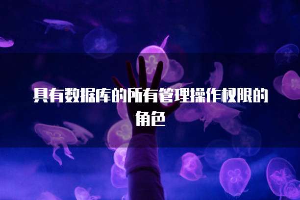 具有数据库的所有管理操作权限的角色
