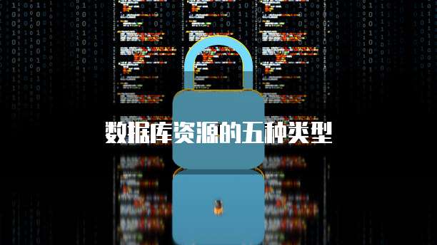  数据库资源的五种类型