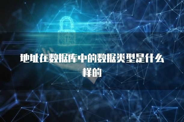 地址在数据库中的数据类型是什么样的
