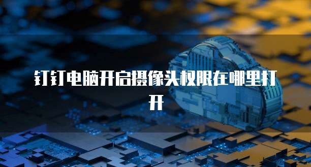 钉钉电脑开启摄像头权限在哪里打开