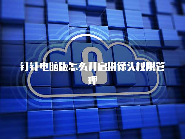 钉钉电脑版怎么开启摄像头权限管理