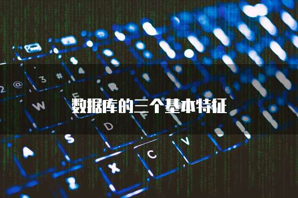 数据库的三个基本特征