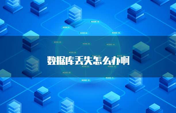 数据库丢失怎么办啊