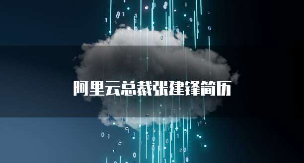阿里云总裁张建锋简历