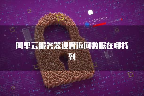 阿里云服务器设置返回数据在哪找到