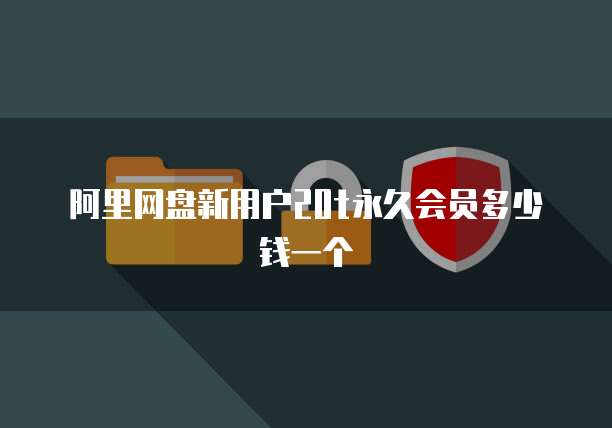 阿里网盘新用户20t永久会员多少钱一个