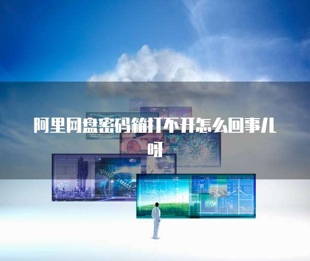 阿里网盘密码箱打不开怎么回事儿呀