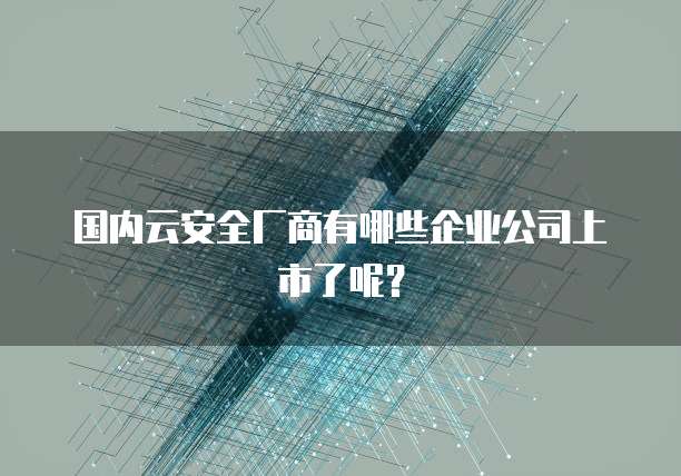 国内云安全厂商有哪些企业公司上市了呢？