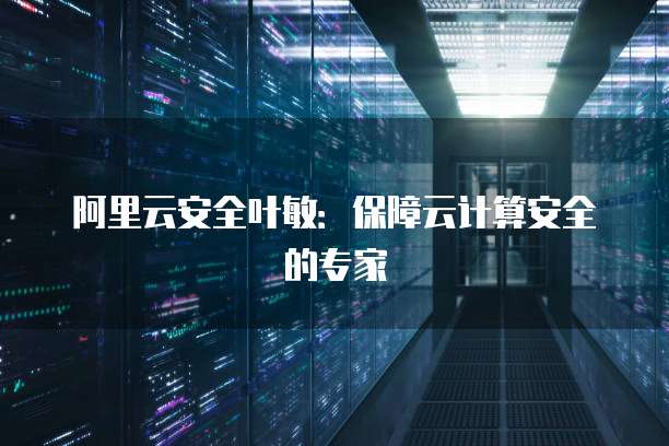 阿里云安全叶敏：保障云计算安全的专家