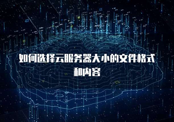 如何选择云服务器大小的文件格式和内容